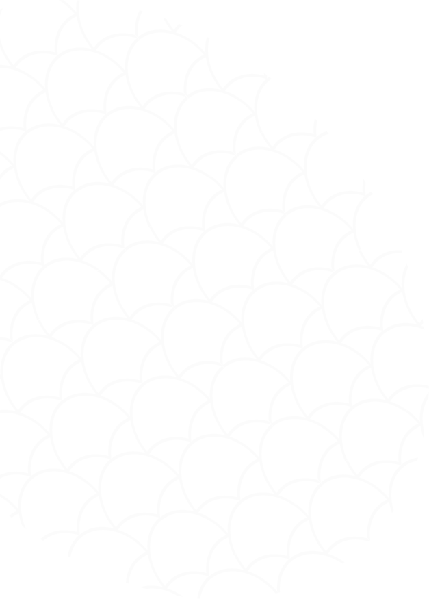 PICKLE BÀ CON ACADEMY – HUẤN LUYỆN PICKLEBALL CHUYÊN NGHIỆP